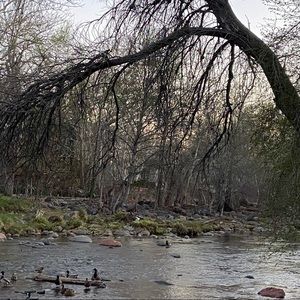 Meet your Posher, Chloe